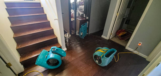 Best Water damage cleanup near me  in Greentown, OH