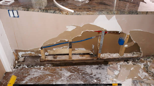 Best Water damage contractors near me  in Greentown, OH