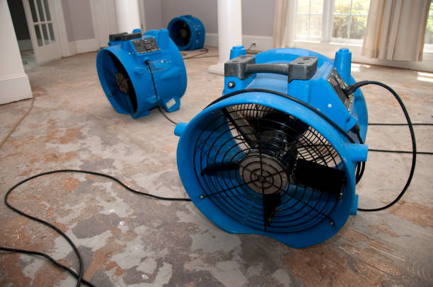 Best Professional water damage repair  in Greentown, OH